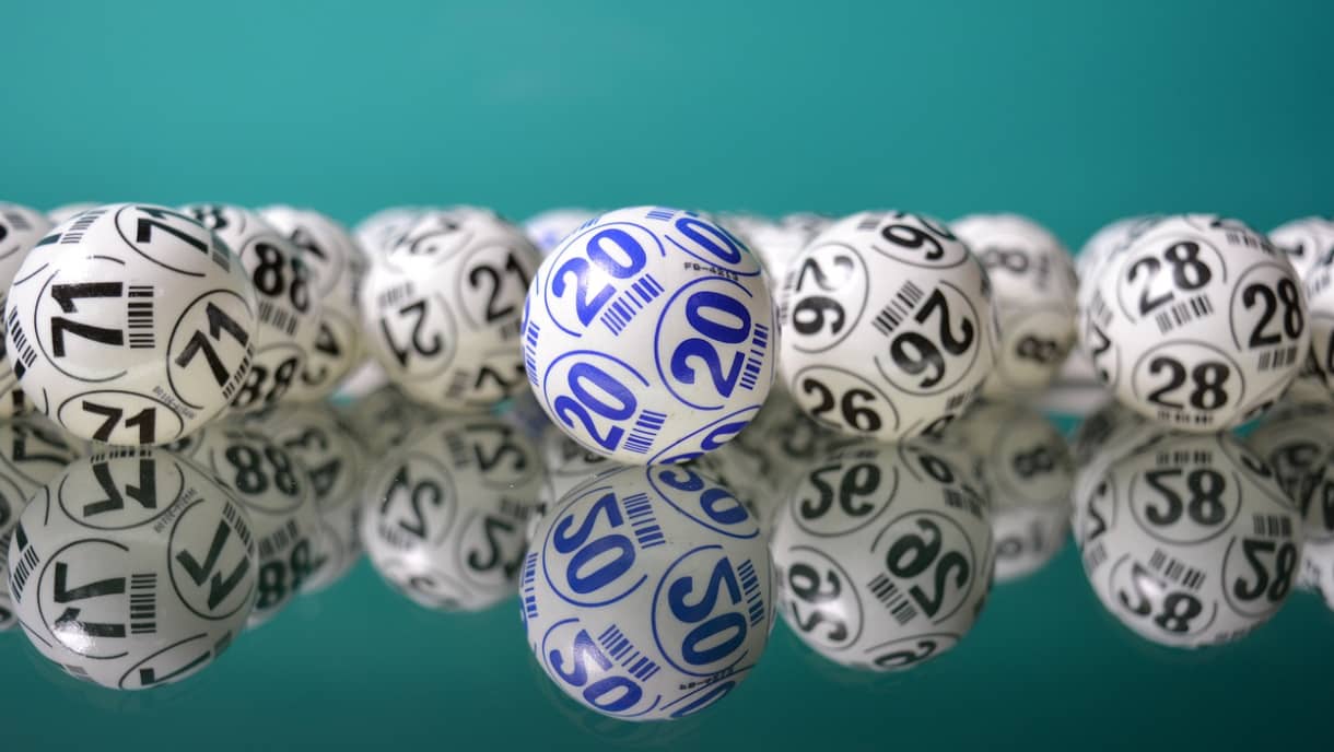 bingo