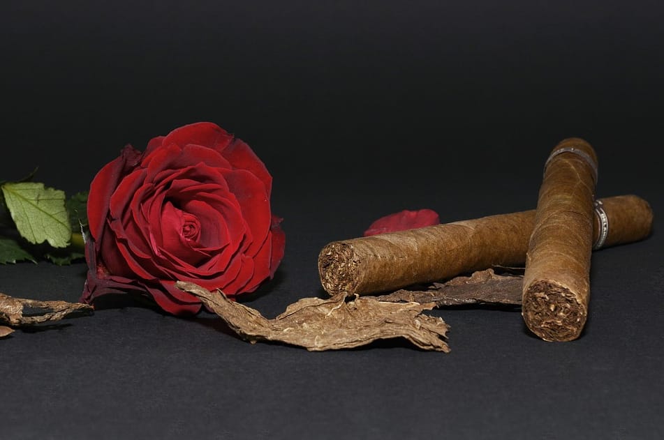 cigar
